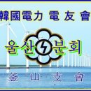 윤동농장 Daum카페