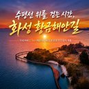 화성 황금해안길 완벽 가이드! 제부도부터 궁평항까지, 바다 위를 걷는 17km 해안 산책로