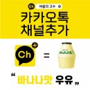 싸움의고수 이미지