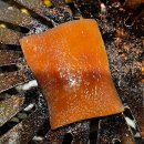 꿈돈168(모현점) 이미지