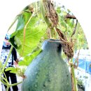 승주국밥 이미지