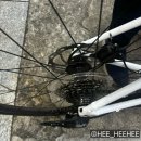 TREK 트랙 도마니 자전거 한강라이딩 :-D