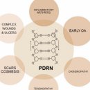 화원가톨릭의원 | 송현동정형외과, DNA주사가 뭔가요? [서부통신경외과] 대구대명동, 상인동, 서부정류장역, 성당동