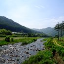 광원리 월둔교 이미지