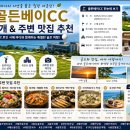 골든베이 - 양양군 하조대2길 48-9 | 골든베이