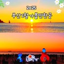 부산 1월 가볼만한곳 축제 팝업 전시 2025 겨울 여행 갈만한곳