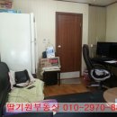 딸기원부동산공인중개사사무소 이미지