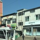 투투헤어리드 네이버블로그