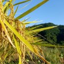 광성유통 이미지