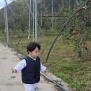 솔내음농장 이미지