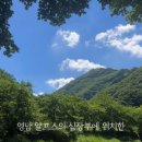 파래소 빨간지붕 이미지