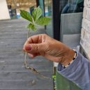 수피아펜션 이미지