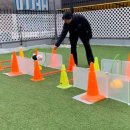 수지애견 이미지