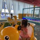 시흥 능곡 “점핑몬스터”