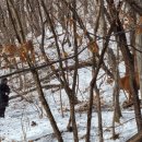 안내면행정복지센터 이미지