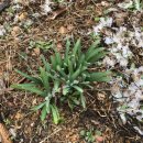 단양팔경펜션민박 이미지