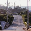미니벨로 타고 새만금 지역 1박2일 자전거 여행 2일차