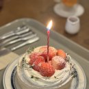 소르베 펫살롱 이미지