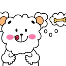 웨딩타운식당