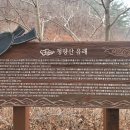11월16일(목)경북 봉화 청량산(870m)도립공원 명산 산행 예약 이미지