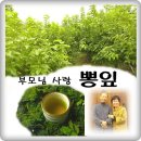 청해농원 이미지