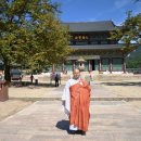 원시로1 이미지