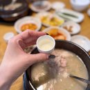 팔팔삼계탕 | 대구 달서구 삼계탕 추천 맛집 백제삼계탕 후기