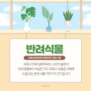 협동상회 이미지