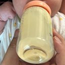 내열유리 전기포트 제대로 쓰는 법, 세척 구연산 사용법부터 코코엔젤 퓨어원 후기