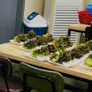 호강족발 이미지