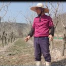 인비농장 이미지