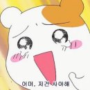 티나잡화점
