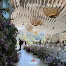 세인트빌딩 | 세인트메리스 강남 홀투어 후기 견적 공유