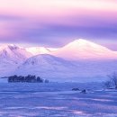 김행정사 사무소 이미지