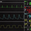 바이탈사인 이미지