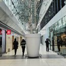 비가 그치기를 이미지