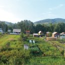 부부순대국 이미지