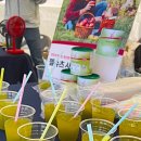 피엠 이미지