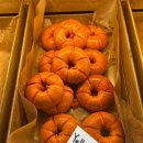 시스커피앤베이글 | [동동맛집] 과천 지정타 베이글 시스커피앤베이글 SiS BAGEL