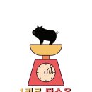 1키로탕수육 - 과천시 별양상가2로 14 | 1키로탕수육