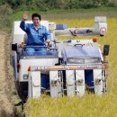 후쿠시마산 쌀과 수산물 한국 관광객들에게 먹이는 방법 외 처리가 불가능 이미지