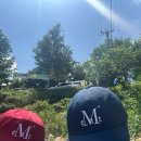 퍼니멍멍 이미지