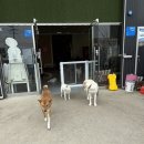 훈트(HUND) 이미지