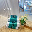일상 #9 2025 기나긴 봄, 베란다 상추키우기, 스타벅스프리퀀시 그린 체어 의자 예약 후기