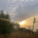 산책공인중개사사무소 이미지