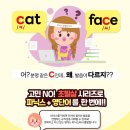 초등영어파닉스 | 영어 자신감의 시작! 2026 초필살 초등 영어 파닉스 &amp; 영단어 (전2권) 실사용 리뷰