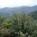 용미1리 이미지