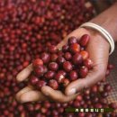 무부농장 이미지