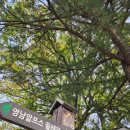 선피크모텔 이미지