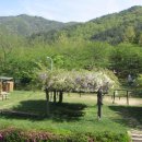 미암공원 이미지